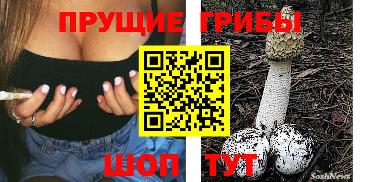 Галлюциногенные грибы Cubensis Свободный
