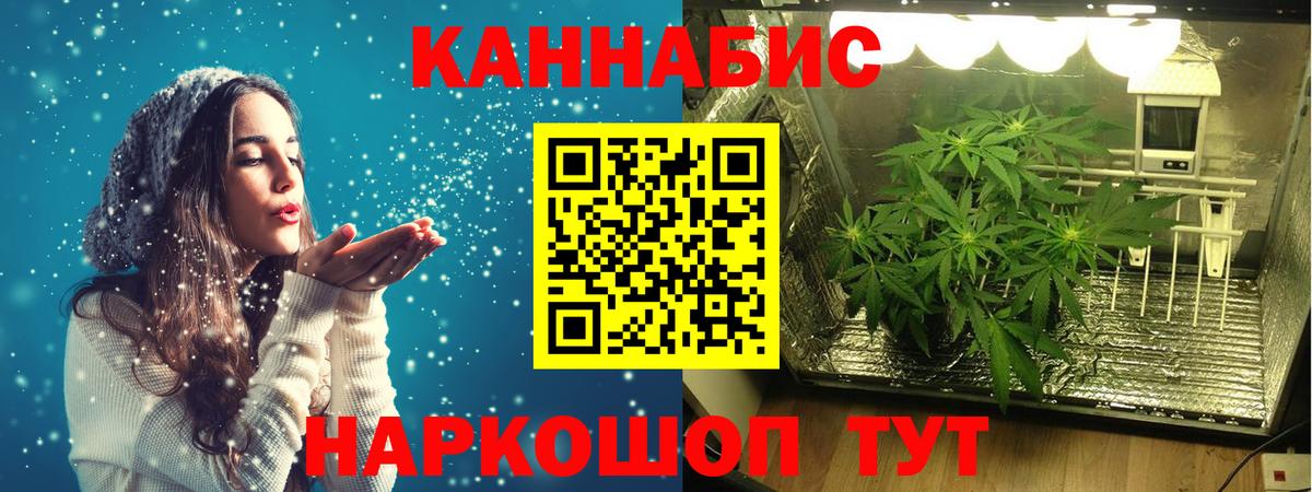 МАРИХУАНА SATIVA & INDICA Свободный